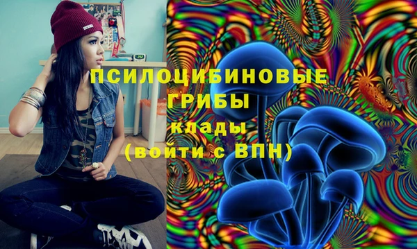 spice Балабаново